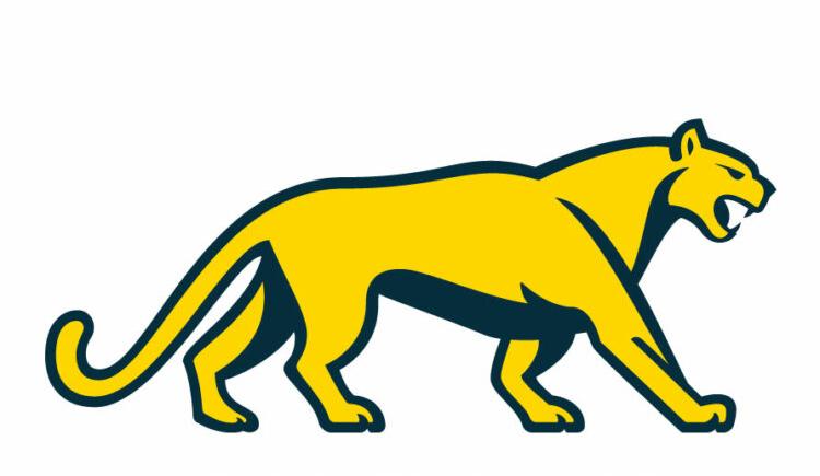 Imagen de La sorprendente camiseta que presentaron Los Pumas