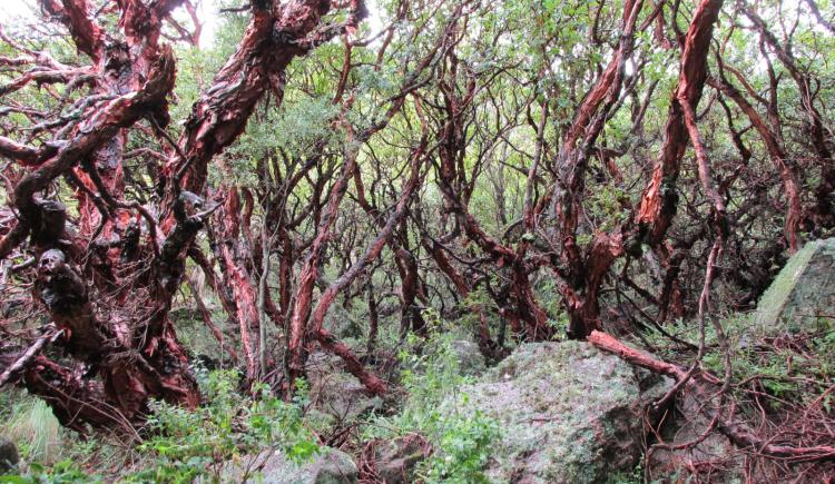 Imagen de Torneos reforzó su compromiso ambiental