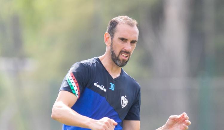 Imagen de ¿Cuándo será la vuelta de Diego Godín a Vélez?