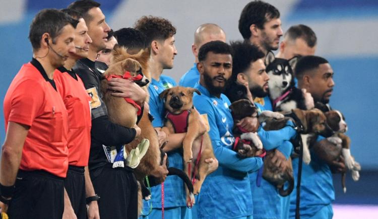 Imagen de LA GRAN INICIATIVA DE LOS JUGADORES DE ZENIT