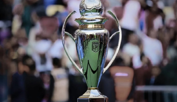 Imagen de Así será el nuevo formato de la Liga Profesional 2027