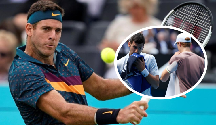 Imagen de La reacción de Del Potro ante el duelo Sinner-Djokovic en Australia