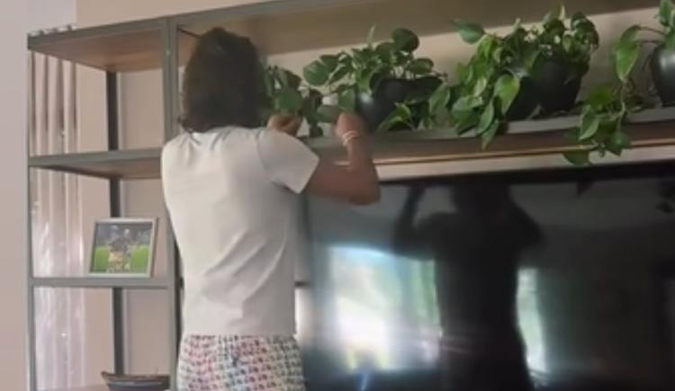 Imagen de Cavani, el jardinero que deshoja potus mientras aguarda su vuelta al césped