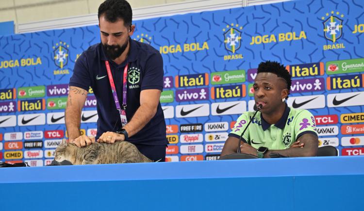 Imagen de Polémica con el encargado de prensa de Brasil por cómo "sacó" a un gato en plena conferencia